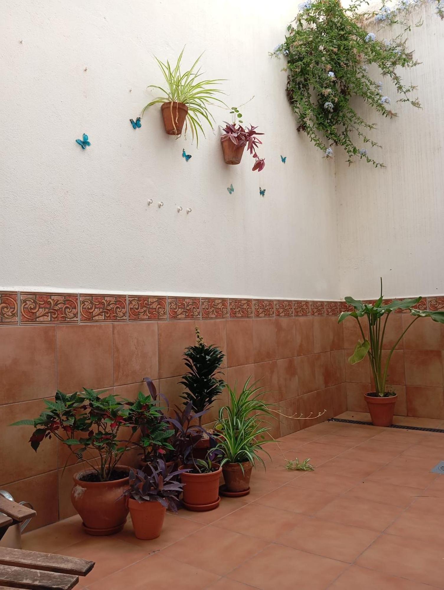 Apartamento Amapola Malaga Exterior photo